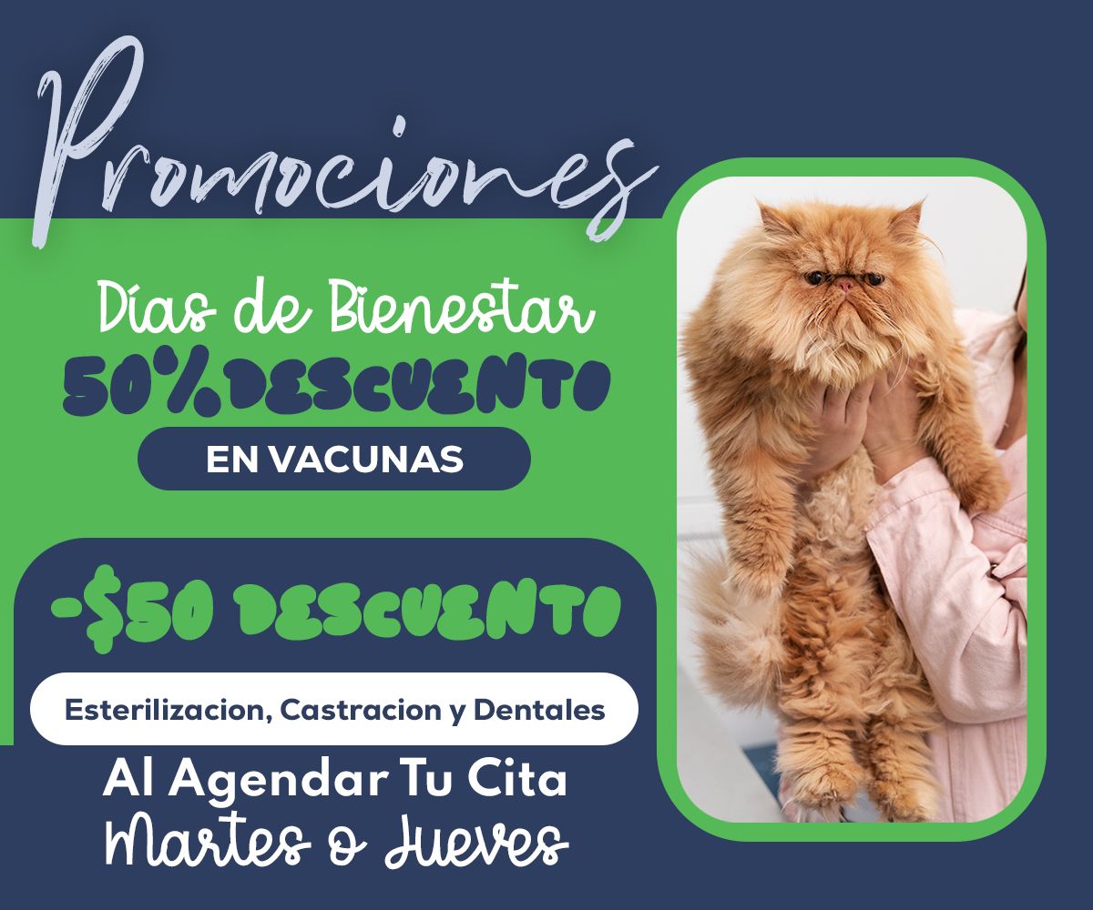Días de Bienestar – 50% de descuento en vacunas $50 de descuento en cirugías y dentales al agendar martes o jueves